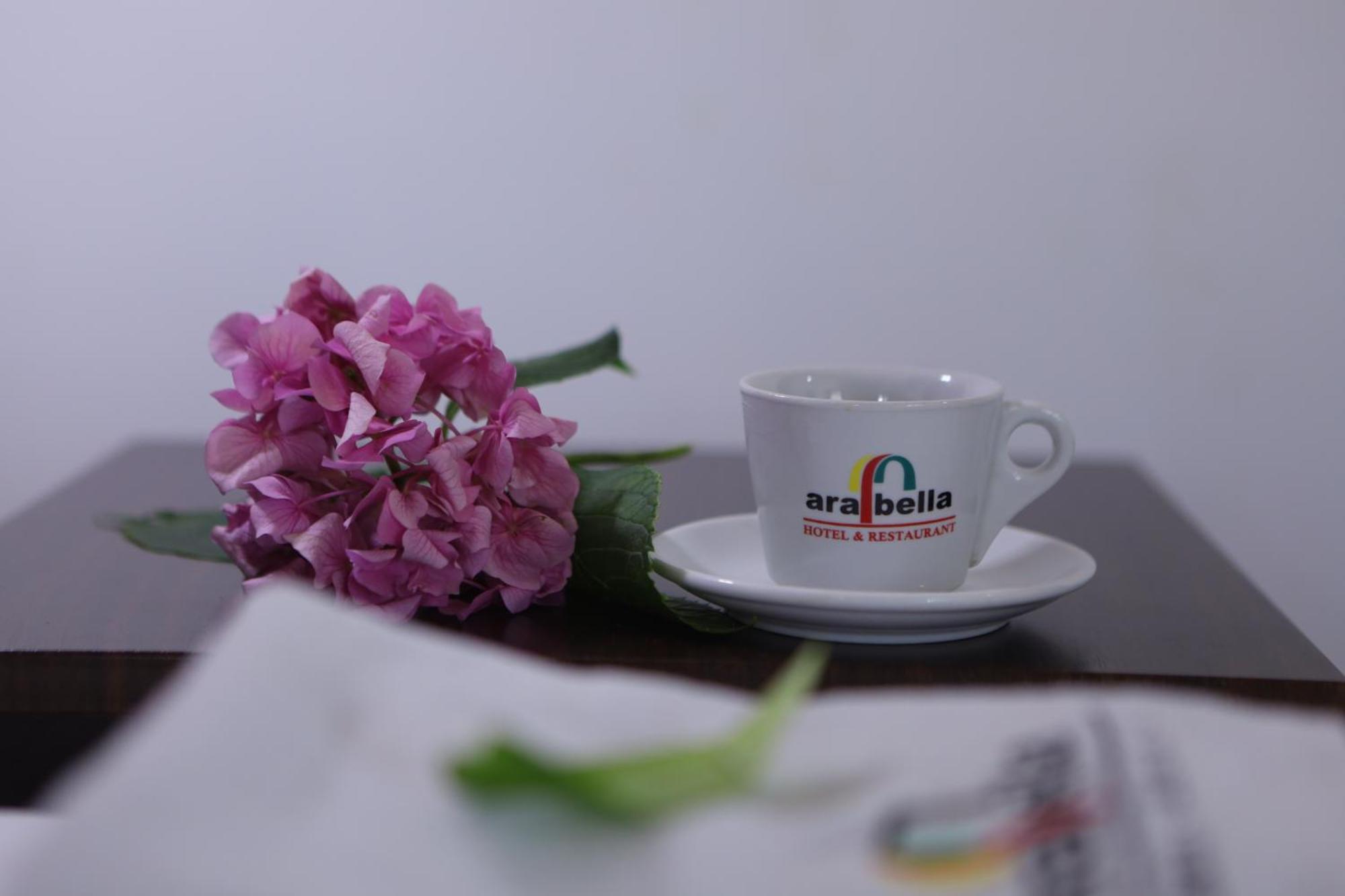 Arabella Hotel Kicsevo Kültér fotó